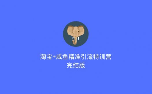 淘宝+咸鱼精准引流特训营完结版（2020/7/13）
