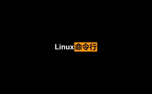 Linux命令行与Shell脚本编程大全第2版 PDF中文版