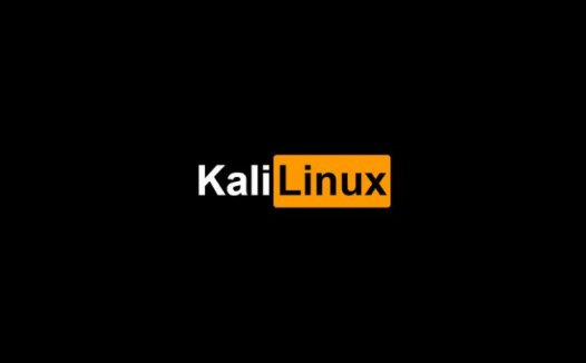 从零玩转Kali Linux：使用Vmare安装kali linux及设置中文