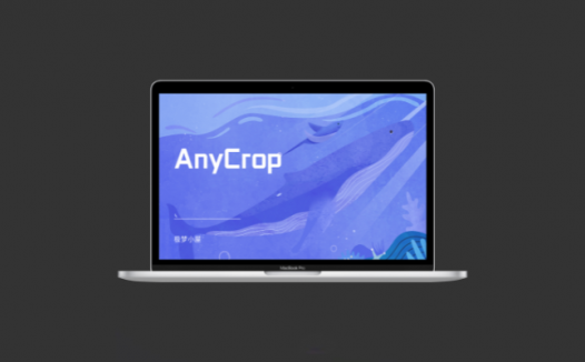 AnyCrop：一个完全免费的多功能图片在线处理工具