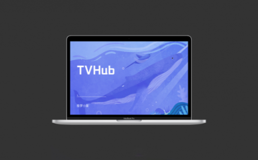 TVHub：一款同时支持Android和TV双端的电视直播软件